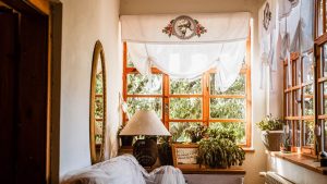 A cozy room with vintage decor and a sunlit window, adorned with plants and soft furnishings.